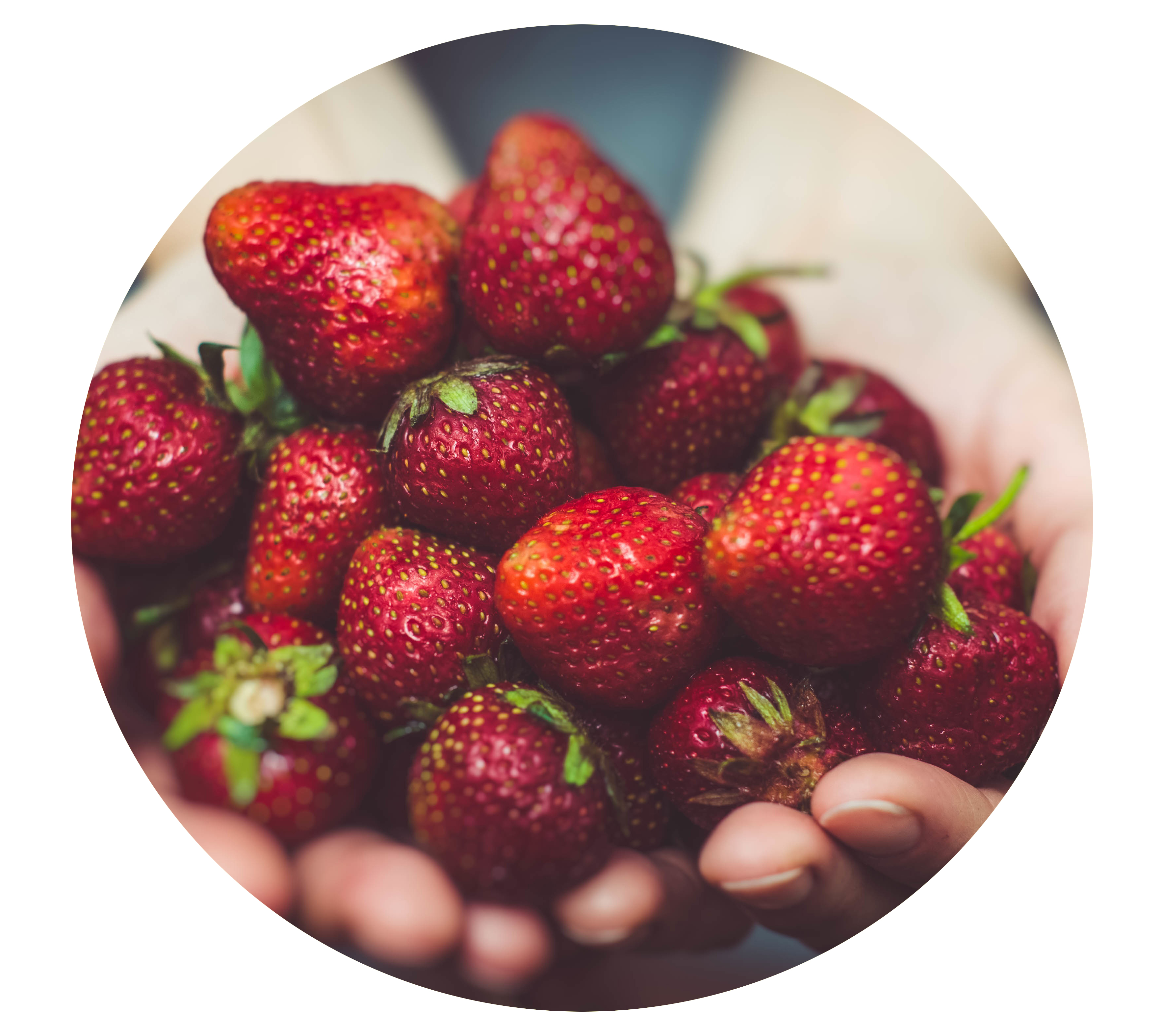 Entrevista a Teresa Martín sobre la alimentación