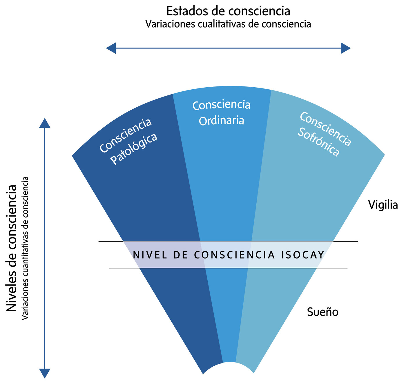 Diagrama oficial Sofrocay del abanico de la consciencia: variaciones cualitativas (consciencia patológica, ordinaria, sofrónica) en horizontal y variaciones cuantitativas (vigilia, sueño) en vertical, con el nivel de consciencia ISOCAY marcado